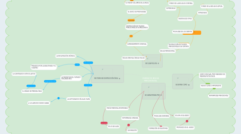 Mind Map: UNIDAD III: BOLSA PERIODONTAL