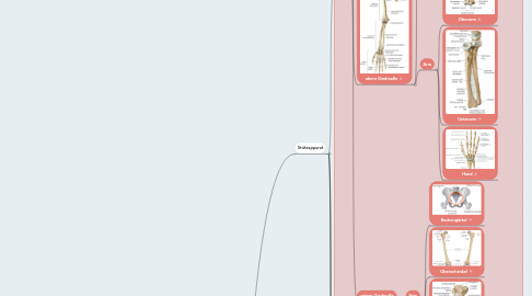 Mind Map: Bewegungssystem