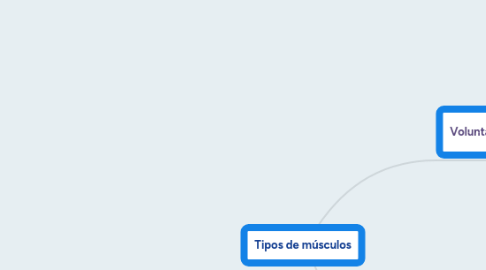 Mind Map: Tipos de músculos