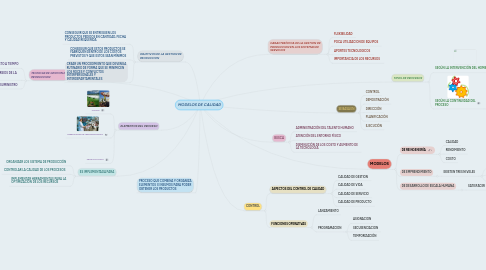 Mind Map: MODELOS DE CALIDAD