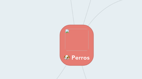 Mind Map: Perros