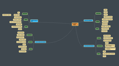 Mind Map: Auto analise de Leonardo Santana