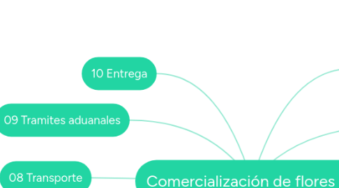 Mind Map: Comercialización de flores