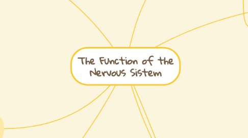 Mind Map: The Function of the Nervous Sistem