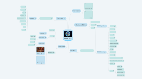 Mind Map: Célula