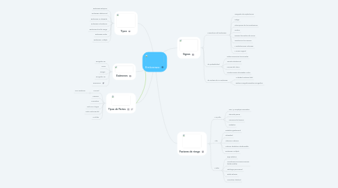 Mind Map: Embarazo