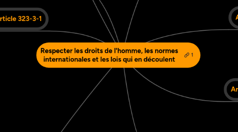 Mind Map: Respecter les droits de l'homme, les normes internationales et les lois qui en découlent