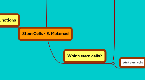 Mind Map: Stem Cells - E. Melamed