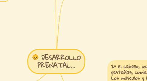 Mind Map: DESARROLLO PRENATAL...