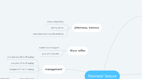 Mind Map: Neonatal Seizure