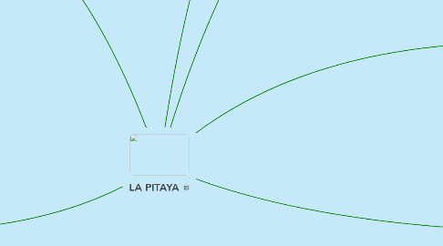 Mind Map: LA PITAYA
