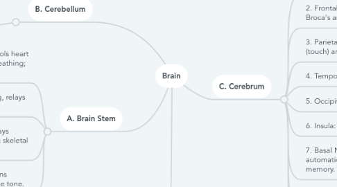 Mind Map: Brain