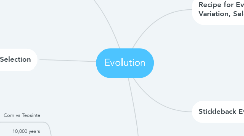 Mind Map: Evolution