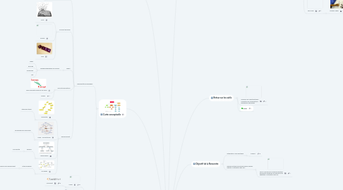 Mind Map: FORMATION DU 14 MARS 2017