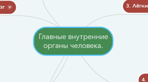 Mind Map: Главные внутренние органы человека.