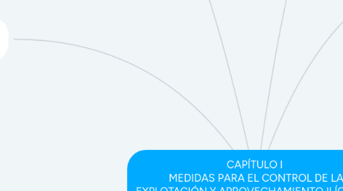 Mind Map: CAPÍTULO I MEDIDAS PARA EL CONTROL DE LA EXPLOTACIÓN Y APROVECHAMIENTO ILÍCITA DE MINERALES