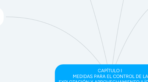 Mind Map: CAPÍTULO I  MEDIDAS PARA EL CONTROL DE LA EXPLOTACIÓN Y APROVECHAMIENTO ILÍCITA DE MINERALES