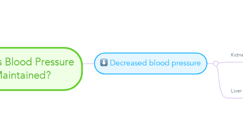 Mind Map: How is Blood Pressure Maintained?