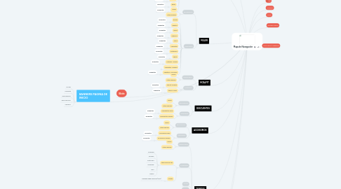 Mind Map: Mapa de Navegación