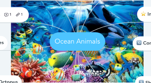 Ocean Animals | MindMeister Mind Map Ocean Animals | MindMeister Mind Map