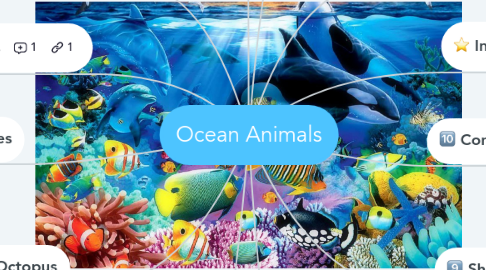 Mind Map: Ocean Animals