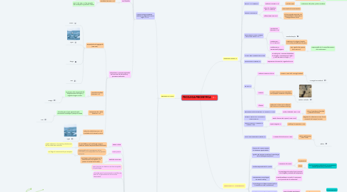 Mind Map: PSICOLOGIA PRECIENTIFICA