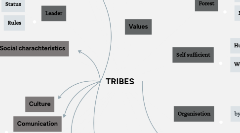 Mind Map: TRIBES