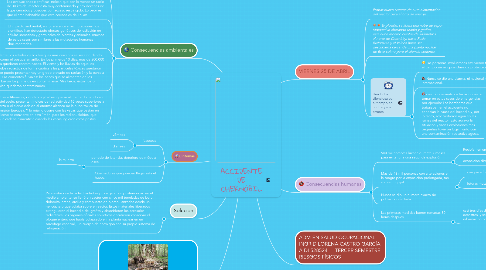 Mind Map: ACCIDENTE DE CHERNÓBIL