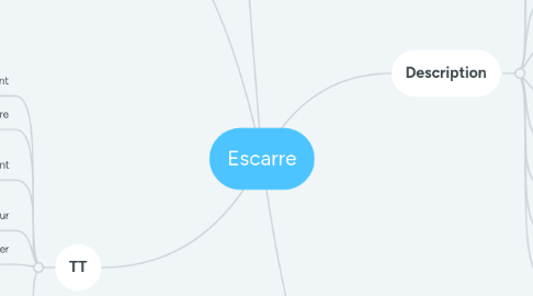 Mind Map: Escarre