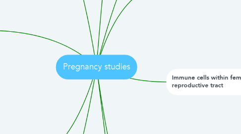 Mind Map: Pregnancy studies