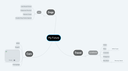 Mind Map: My Future