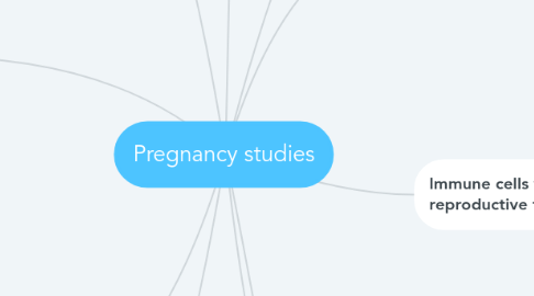 Mind Map: Pregnancy studies