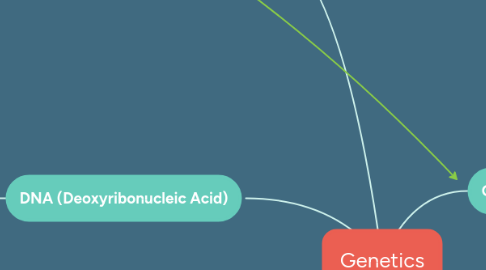 Mind Map: Genetics