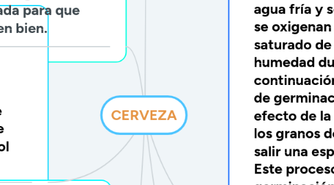 Mind Map: CERVEZA