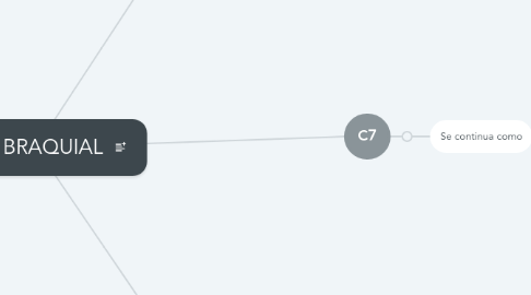 Mind Map: PLEXO BRAQUIAL