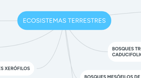 Mind Map: ECOSISTEMAS TERRESTRES