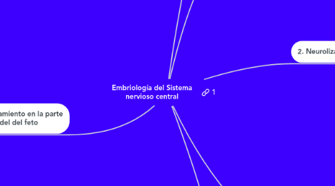 Mind Map: Embriología del Sistema nervioso central