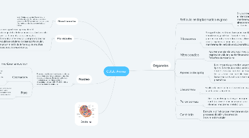 Mind Map: Célula Animal