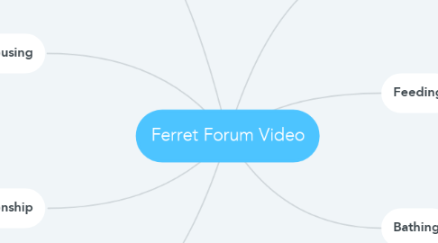 Mind Map: Ferret Forum Video