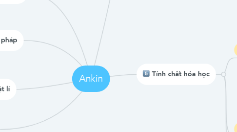 Mind Map: Ankin