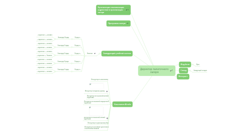 Mind Map: Директор палаточного лагеря