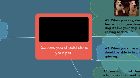 Mind Map: Reasons you should clone your pet.