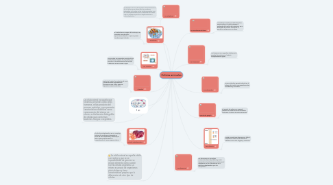 Mind Map: Células animales