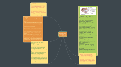 Mind Map: LA CÉLULA (ANIMAL)