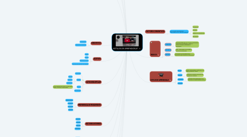 Mind Map: ESTILOS DE APRENDIZAJE