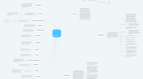 Mind Map: las celulas