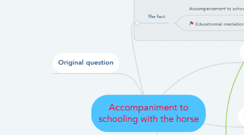 Mind Map: Accompaniment to schooling with the horse
