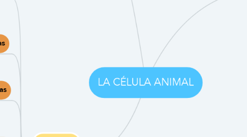 Mind Map: LA CÉLULA ANIMAL
