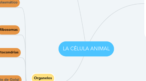 Mind Map: LA CÉLULA ANIMAL