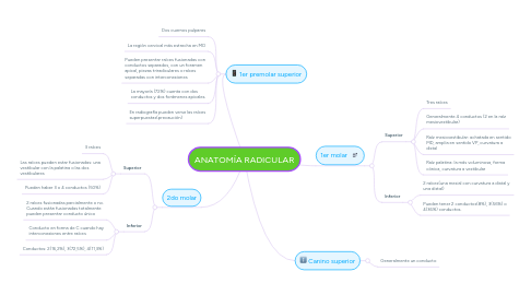 Mind Map: ANATOMÍA RADICULAR